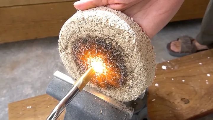 Exploring How This Plant Could Replace Concrete
