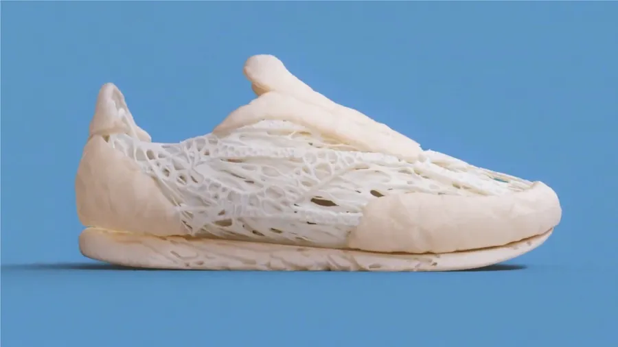 A Mycelium Shoe